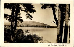 At Province Lake Postcard