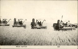 Wheat Harvest by Combine Farming Postcard Postcard