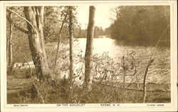 On the Ashuelot Keene, NH Postcard Postcard