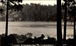 Lake Strawberry Pinecrest, CA Postcard Postcard