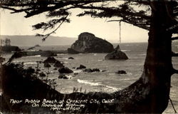 Near Pebble Beach Postcard