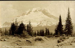 Mt. Hood Loop From Government Camp Postcard