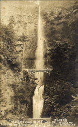 Multnomah Falls Scenic, OR Postcard Postcard