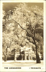 The Ahwahnee Postcard