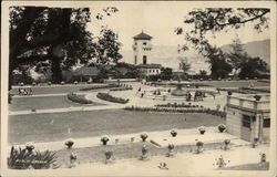 Public Garden Postcard