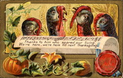 Singing Turkeys Postcard