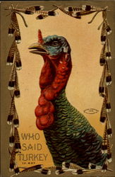 Who Said Turkey Postcard