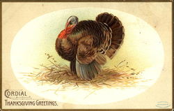 Cordial Thanksgiving Greetings Postcard