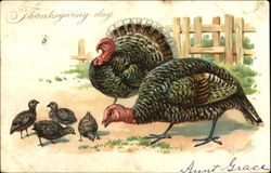 Thanksgiving Day Postcard