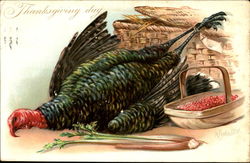 Thanksgiving Day Turkeys Postcard Postcard