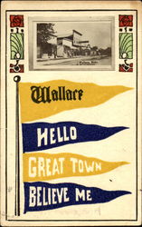 Wallace Hello Great Town Believe Me Nebraska Postcard Postcard