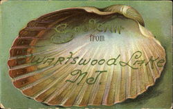 Souvenir From Swartswood Lake Postcard