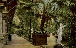 Interior View Of Horticultural Hall, Fairmount Park Postcard