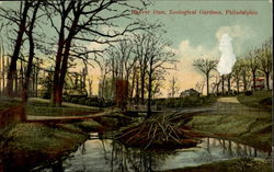 Beaver Dam, Zoological Gardens Philadelphia, PA Postcard Postcard