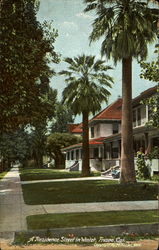 A Residence Street In Winter Fresno, CA Postcard Postcard