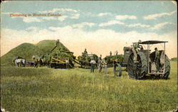 Threshing In Western Canada Postcard