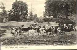 Dairy Farm Victoria, BC Canada British Columbia Postcard Postcard