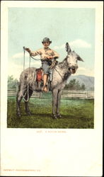 A Rough Rider Cowboy Western Postcard Postcard