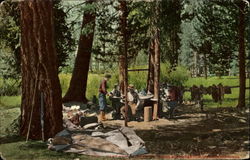 Camping Kings River Canyon Fresno, CA Postcard Postcard