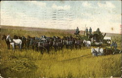 Horse-Drawn Harvester Farming Postcard Postcard