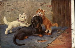 Daschund and Cats Dachshunds Postcard Postcard