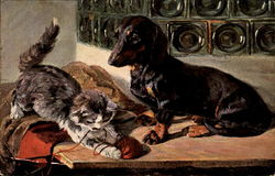 Daschund with Cat Dachshunds Postcard Postcard