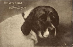 I'm Lonesome Without You Dogs Postcard Postcard