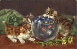 Kittens Fishbowl Postcard