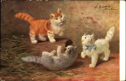 Kittens Postcard