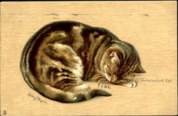 Tortoiseshell Cat Postcard