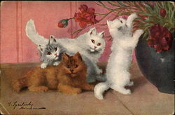 Kittens Cats Postcard Postcard