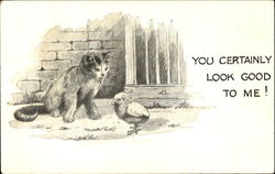 You Certainly Look Good To Me! Postcard