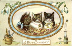 A Happy Birthday Cats Postcard Postcard