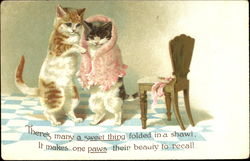 Kittens Cats Postcard Postcard