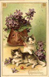 Heearty Congratulations Cats Postcard Postcard