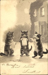 Singing Cats Postcard Postcard