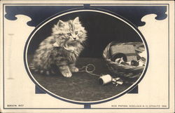 Kitten Sewing Basket Postcard