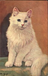 White Cat Cats Postcard Postcard