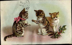 Kittens Postcard