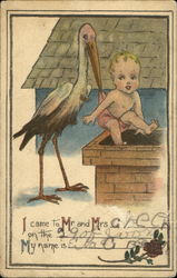 Stork Postcard