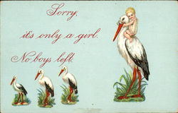 Sorry It's Only A Girl No Boys Left Babies Postcard Postcard