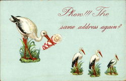 Phen The Same Address Again? Babies Postcard Postcard