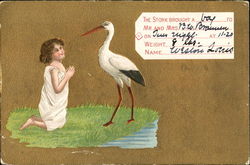 The Stork Brought A Boy Babies Postcard Postcard