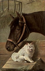 Horse & Dog Postcard