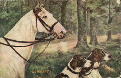 Noble Pets Postcard