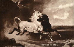 Horses In Storm Postcard