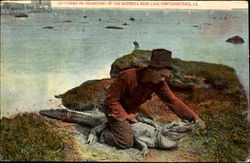 Capturing An Inhabitant Of The Marshes, Lake Pontchartrain Louisiana Postcard Postcard