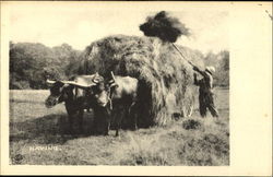 Haying Farming Postcard Postcard