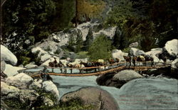 Beautiful California Pack Train Horses Postcard Postcard