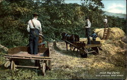 Irish Hay Carts With Primitive Solid Wheels Postcard